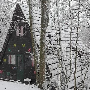 Chalet met Twee Slaapkamers